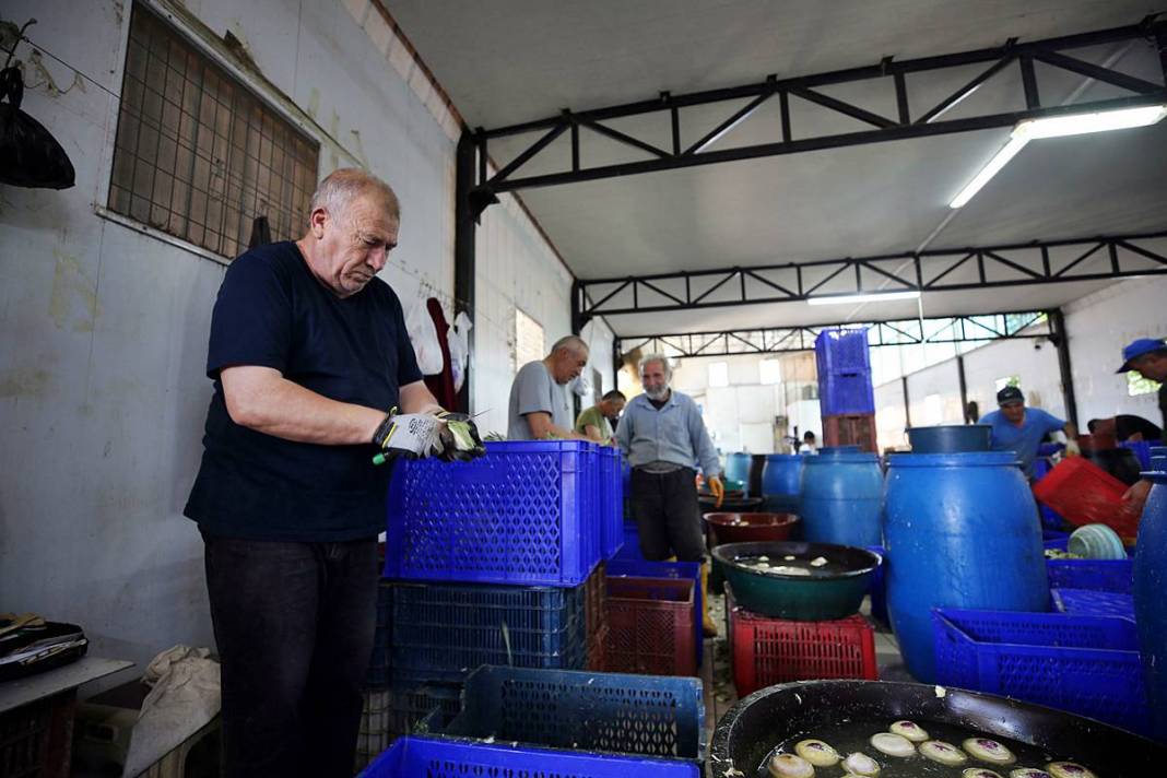 Hızlı soyan 20 erkek topladı: Kişi başı günde 2500 TL kazanıyorlar! 'Çok güçlü bir ekibimiz var, hızlıca soyuyoruz' 9